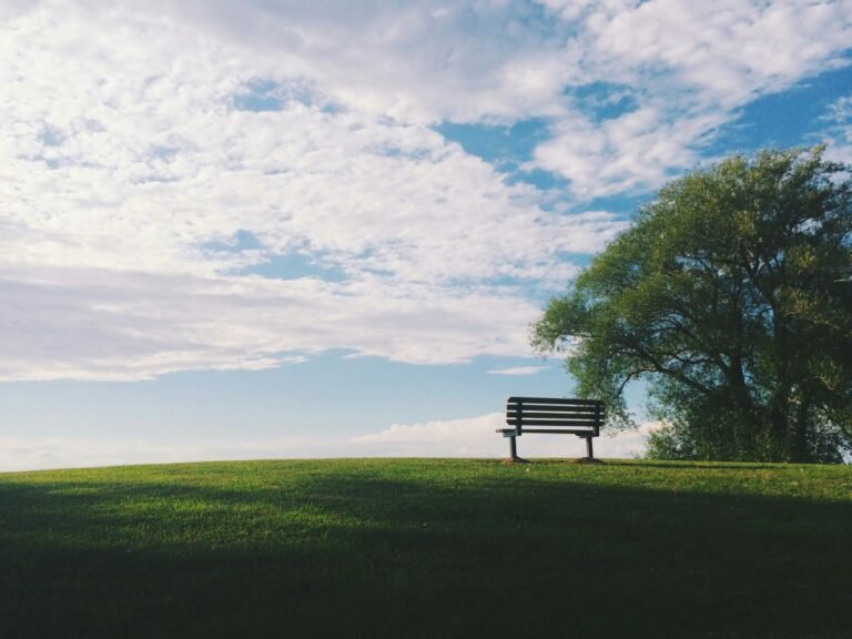 What Happens When You Die with an ICD?